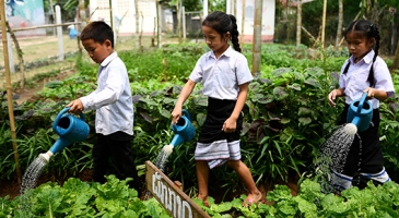 Healthy diets vital for progress in Lao PDR, say UN food agencies